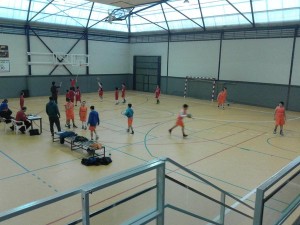 2016-03-02-alevin-DOS-1