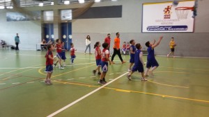 20160506-prebenja-trinitarias