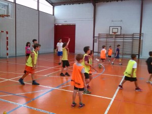 campus-basquet-drac-3